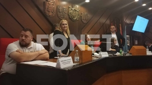 Istovremeno dve sednice